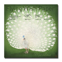 FLYING WISH PAPER® – Manifestation & Intention Ceremony Kits - Flying Wish Paper® 8-Pack Standard Mini Kits – WISHING KITS™