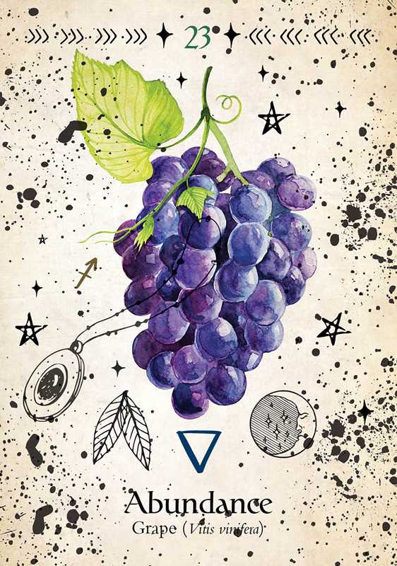 Simon & Schuster - Green Witch Oracle Cards by Cheralyn Darcey: Flashcards; 144 pages / English