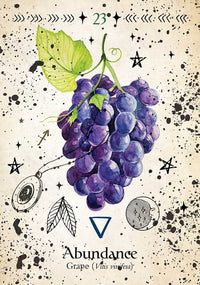 Simon & Schuster - Green Witch Oracle Cards by Cheralyn Darcey: Flashcards; 144 pages / English