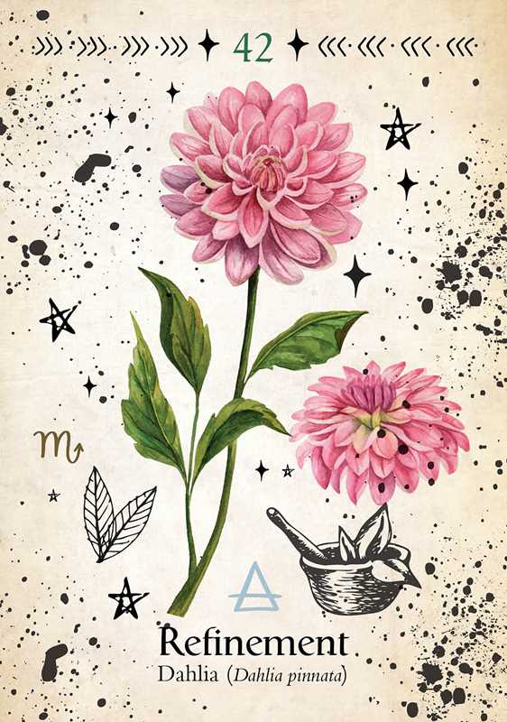 Simon & Schuster - Green Witch Oracle Cards by Cheralyn Darcey: Flashcards; 144 pages / English