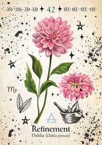 Simon & Schuster - Green Witch Oracle Cards by Cheralyn Darcey: Flashcards; 144 pages / English