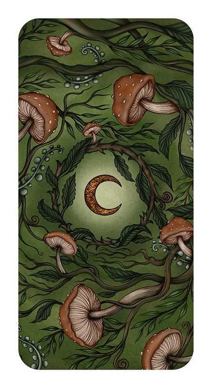 Simon & Schuster - Forest Fae by Nadia Turner