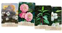 La Panthère Studio - The NEW Southern Botanic Oracle