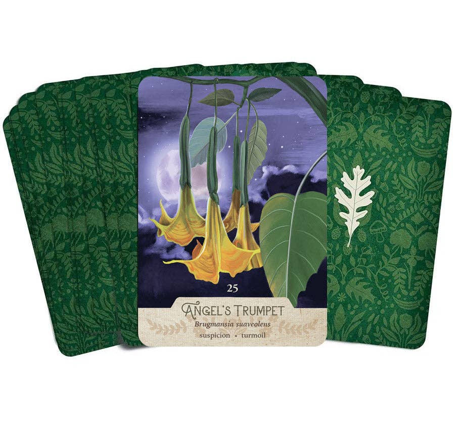 La Panthère Studio - The NEW Southern Botanic Oracle