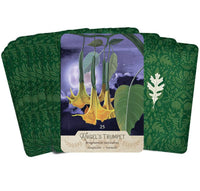 La Panthère Studio - The NEW Southern Botanic Oracle