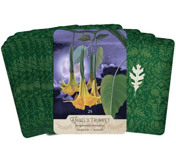 La Panthère Studio - The NEW Southern Botanic Oracle