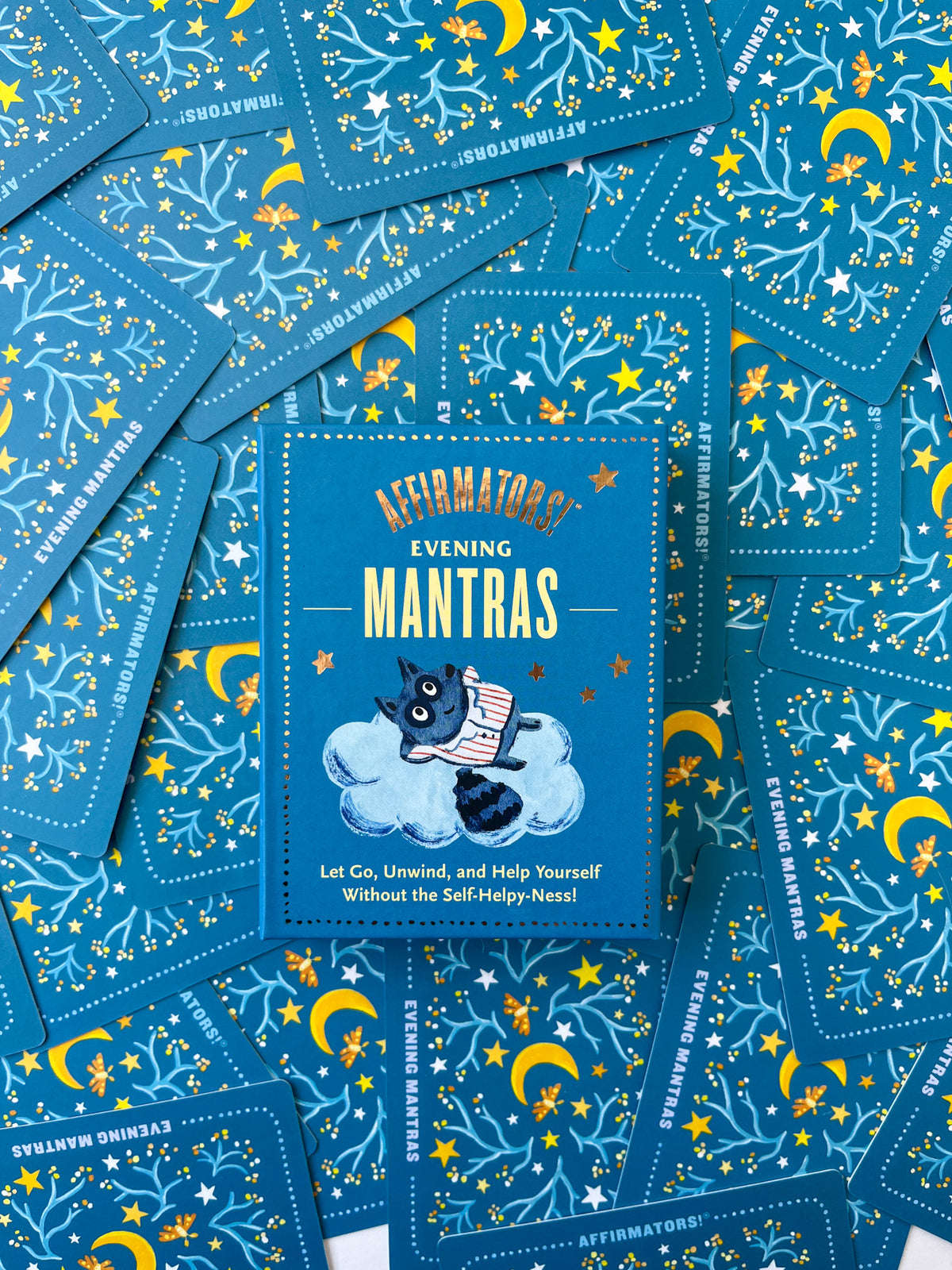 Knock Knock - Affirmators! Mantras (Evening) Affirmators Mantras Deck - Not Every Libra
