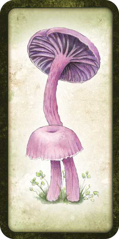 Mushroom Affirmations by Nicola McIntosh