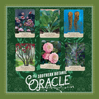 La Panthère Studio - The NEW Southern Botanic Oracle