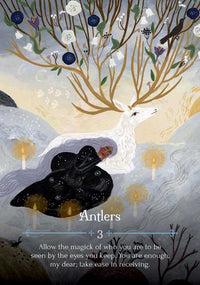 Simon & Schuster - Seasons of the Witch: Imbolc Oracle by Lorriane Anderson: Flashcards; 144 pages / English