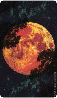 U.S. Games Systems Inc. - Amber Moon Tarot