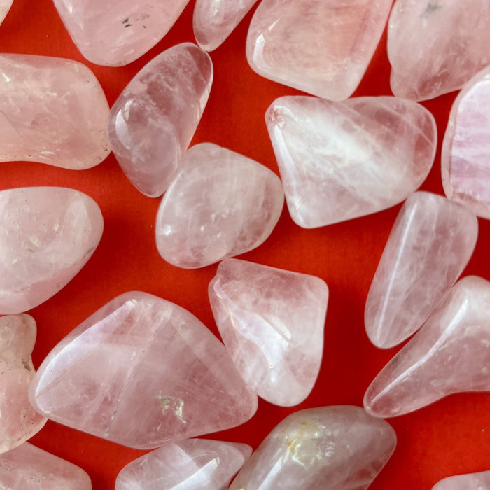 Tumbled Rose Quartz - Not Every Libra