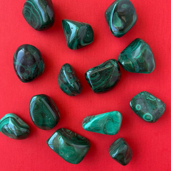 Tumbled Malachite Stones - Not Every Libra