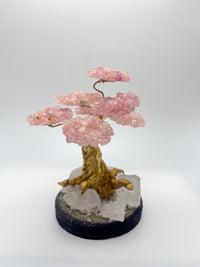 Gemstone Trees - Not Every Libra