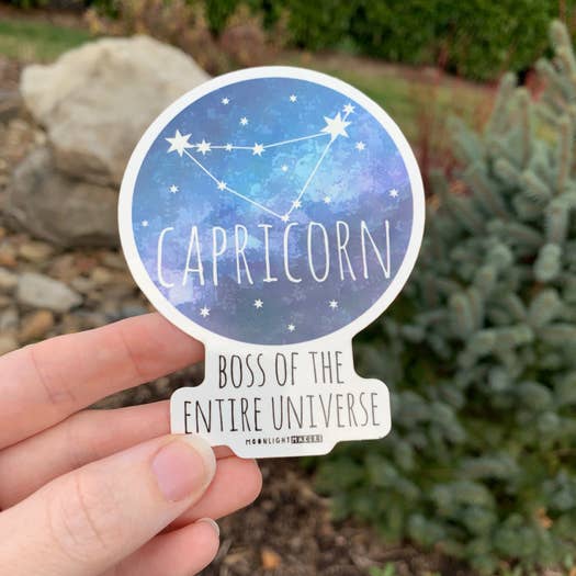 Zodiac Stickers - Capricorn - Not Every Libra