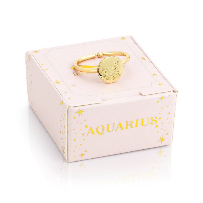 Zodiac Ring - Aquarius (Jan 20 - Feb 18) - Not Every Libra